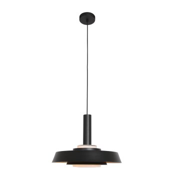 Steinhauer Flinter Lámpara Colgante Negro, 1 luz