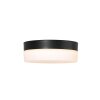 Steinhauer Ikaro Lámpara de Techo LED Negro, 1 luz