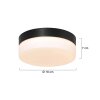 Steinhauer Ikaro Lámpara de Techo LED Negro, 1 luz