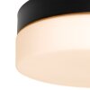Steinhauer Ikaro Lámpara de Techo LED Negro, 1 luz