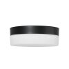 Steinhauer Ikaro Lámpara de Techo LED Negro, 1 luz