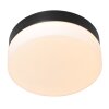 Steinhauer Ikaro Lámpara de Techo LED Negro, 1 luz
