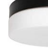 Steinhauer Ikaro Lámpara de Techo LED Negro, 1 luz