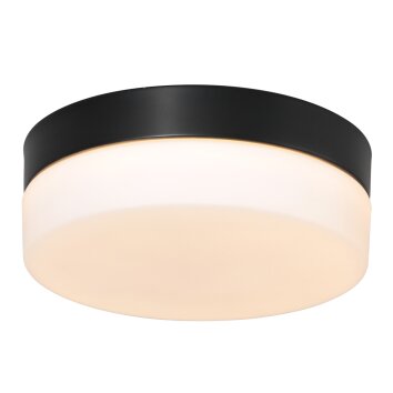 Steinhauer Ikaro Lámpara de Techo LED Negro, 1 luz