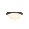 Steinhauer Ikaro Lámpara de Techo LED Negro, 1 luz