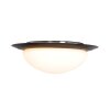 Steinhauer Ikaro Lámpara de Techo LED Negro, 1 luz