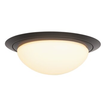 Steinhauer Ikaro Lámpara de Techo LED Negro, 1 luz