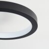 Carabajal Lámpara de Techo LED Negro, 1 luz