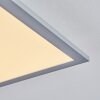 Wilderswil Lámpara de Techo LED Blanca, 1 luz
