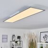 Wilderswil Lámpara de Techo LED Blanca, 1 luz