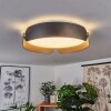 Fuscado Lámpara de Techo LED Negro, 1 luz