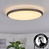 Magdala Lámpara de Techo LED Negro, Blanca, 1 luz