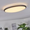 Magdala Lámpara de Techo LED Negro, Blanca, 1 luz