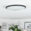 Magdala Lámpara de Techo LED Negro, Blanca, 1 luz