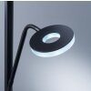 Fischer & Honsel Dent Lámpara de Pie LED Negro, 1 luz