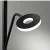 Fischer & Honsel Dent Lámpara de Pie LED Negro, 1 luz