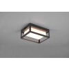 Trio Witham Aplique para exterior LED Antracita, 1 luz