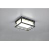 Trio Witham Aplique para exterior LED Antracita, 1 luz