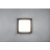 Trio Witham Lámpara de Techo LED Antracita, 1 luz