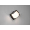 Reality Puno Aplique para exterior LED Negro, 1 luz