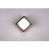 Reality Puno Aplique para exterior LED Negro, 1 luz