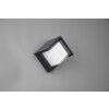 Reality Puno Aplique para exterior LED Negro, 1 luz