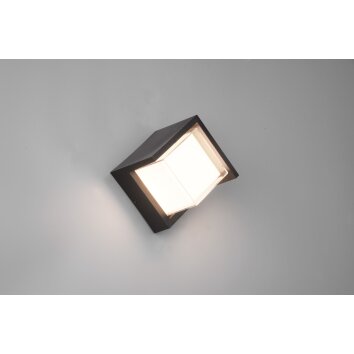 Reality Puno Aplique para exterior LED Negro, 1 luz