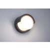 Reality Puno Aplique para exterior LED Negro, 1 luz