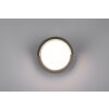 Reality Puno Aplique para exterior LED Negro, 1 luz