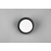 Reality Puno Aplique para exterior LED Negro, 1 luz