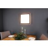 Luce Design SOLSTAR Aplique LED Crudo, Negro, 1 luz