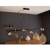 Luce Design NEPTUN Lámpara Colgante Negro, 6 luces