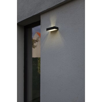 Lutec FADI Aplique para exterior LED Negro, 1 luz, Sensor de movimiento