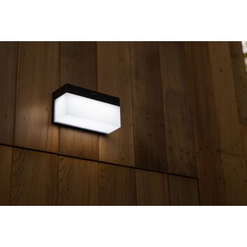 Lutec FRAN Aplique para exterior LED Negro, 1 luz, Sensor de movimiento