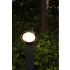 Lutec POLO Poste de Jardín LED Antracita, 1 luz