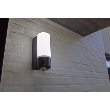 Lutec POLLUX Aplique para exterior LED Antracita, 1 luz, Sensor de movimiento