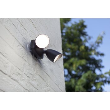 Lutec SHRIMP Aplique para exterior LED Negro, 1 luz