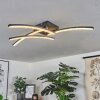 Rheinfelden Lámpara de Techo LED con efecto de brillo, Transparente, 1 luz