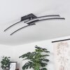 Rheinfelden Lámpara de Techo LED con efecto de brillo, Transparente, 1 luz