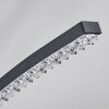 Rheinfelden Lámpara de Techo LED con efecto de brillo, Transparente, 1 luz