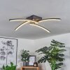 Rheinfelden Lámpara de Techo LED con efecto de brillo, Transparente, 1 luz
