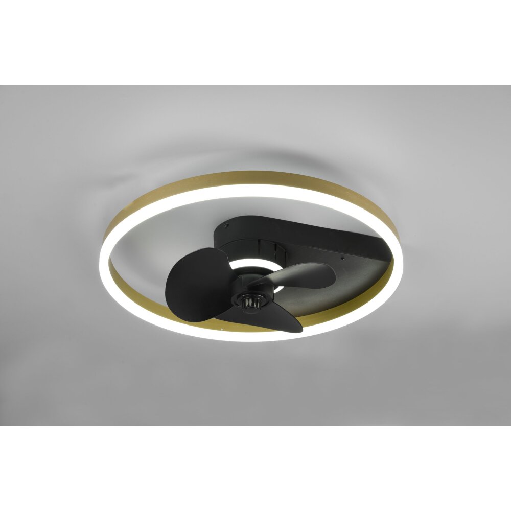 Reality Borgholm Ventilador de techo LED dorado, Negro, 1 luz, Mando a distancia main product photo