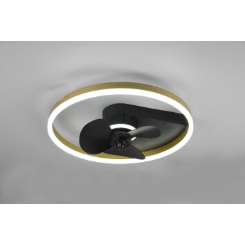 Reality Borgholm Ventilador de techo LED dorado, Negro, 1 luz, Mando a distancia