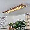 Blandford Lámpara de Techo LED Marrón, Color madera, Negro, 2 luces, Mando a distancia