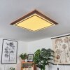 Blandford Lámpara de Techo LED Marrón, Color madera, 2 luces, Mando a distancia Blandford Lámpara de Techo LED Marrón, Color madera, 2 luces, Mando a distancia