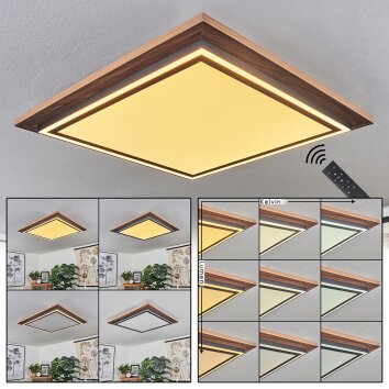 Blandford Lámpara de Techo LED Marrón, Color madera, 2 luces, Mando a distancia