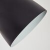 Tanabita Lámpara de mesa Crudo, Negro, 1 luz