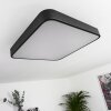 Batamoto Lámpara de Techo LED Negro, Blanca, 2 luces, Mando a distancia, Cambia de color