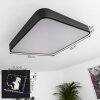 Batamoto Lámpara de Techo LED Negro, Blanca, 2 luces, Mando a distancia, Cambia de color