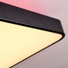 Batamoto Lámpara de Techo LED Negro, Blanca, 2 luces, Mando a distancia, Cambia de color